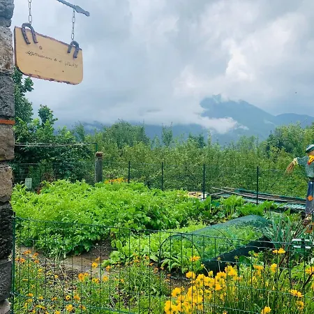 Li Di Giuan בית הארחה Lauco